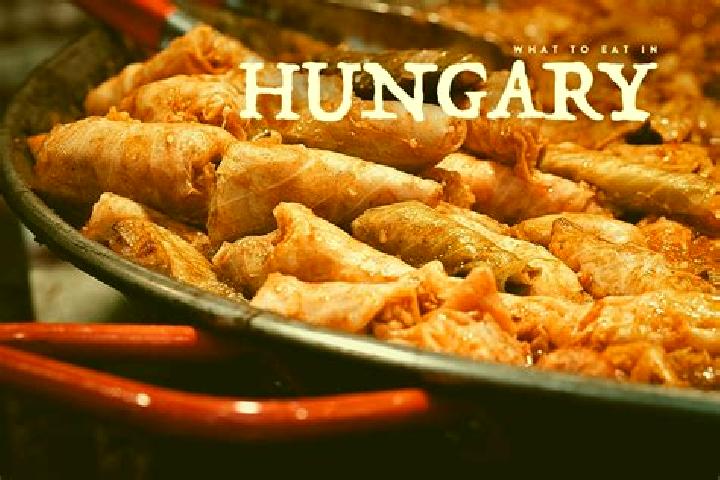 Escorts Rakosliget, Hungary — Local Companions