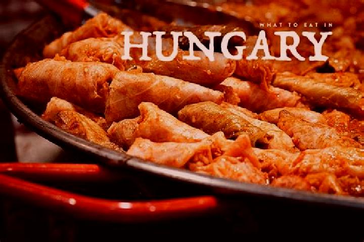 Escorts Rakospalota, Hungary — Local Companions