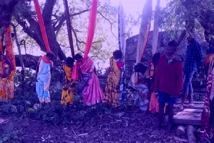 Escorts Rampachodavaram, India — Local Companions