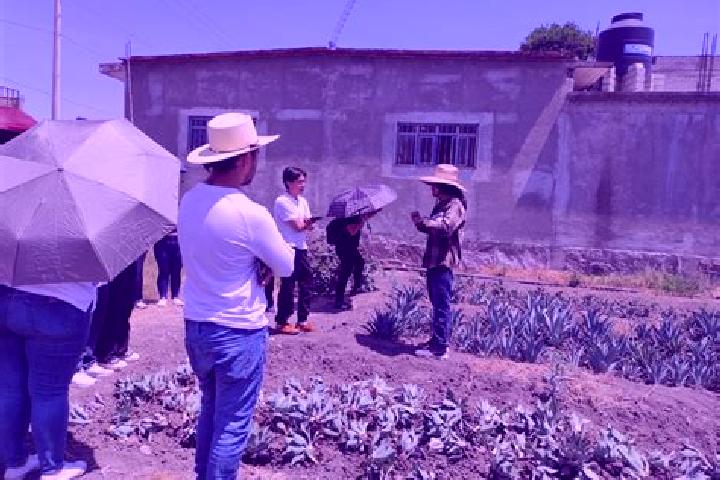 Escorts Rancheria de San Martin Obispo, Mexico — Local Companions