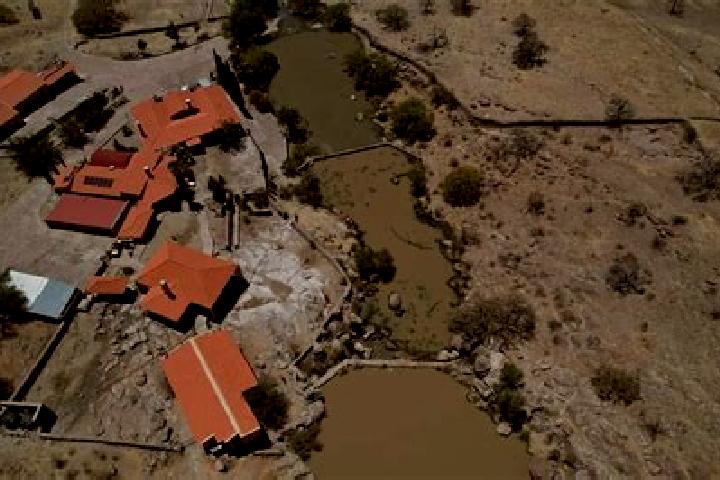 Escorts Rancho del Cura, Mexico — Local Companions