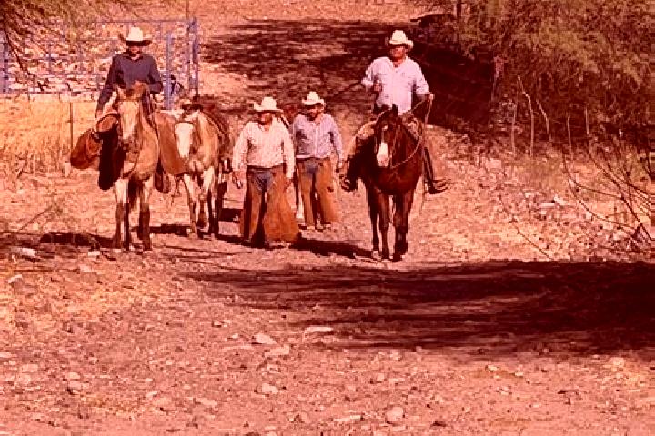 Escorts Rancho Grande, Mexico — Local Companions