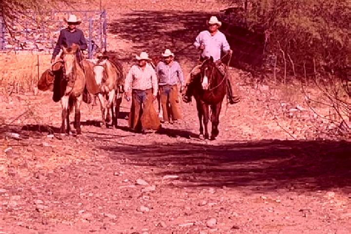 Escorts Rancho Viejo, Mexico — Local Companions