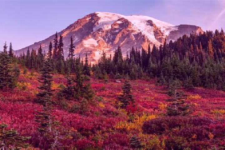 Escorts Ranier, United States — Local Companions