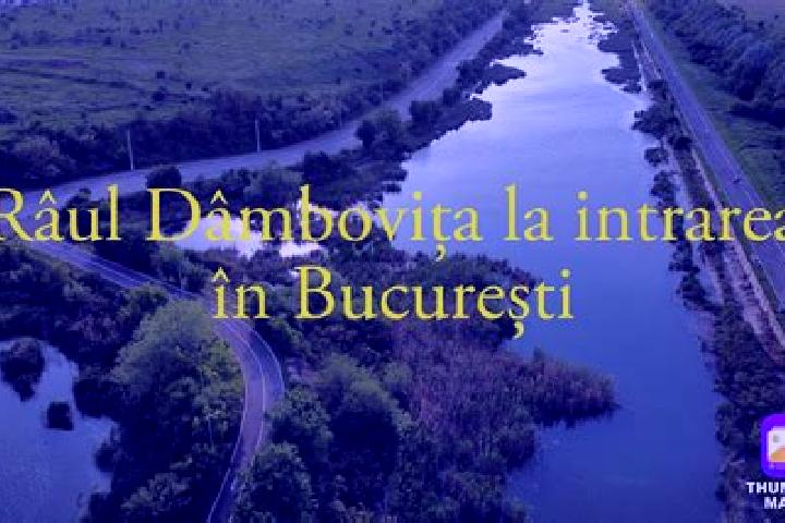 Escorts Rau Alb de Sus, Romania — Local Companions