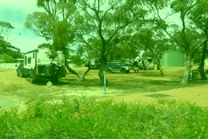 Escorts Ravensthorpe, Australia — Local Companions