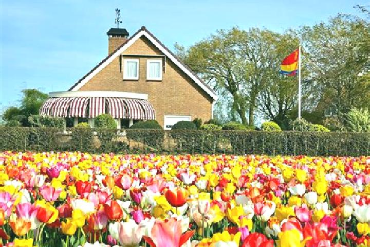 Escorts Rheden, Netherlands — Local Companions