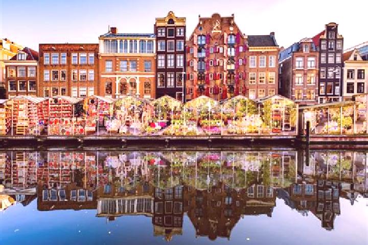Escorts Ridderkerk, Netherlands — Local Companions