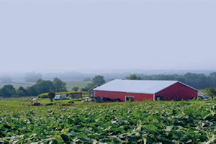 Escorts Ridge Farm, United States — Local Companions