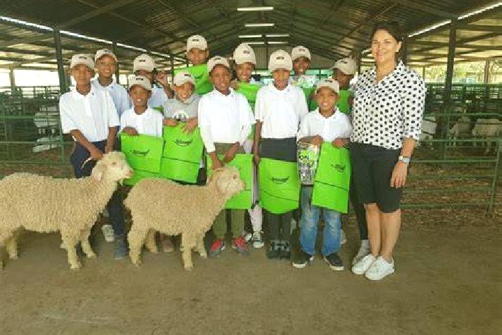 Escorts Rietbron, South Africa — Local Companions