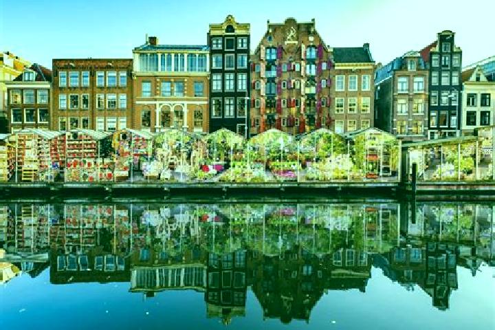 Escorts Rijnsaterwoude, Netherlands — Local Companions