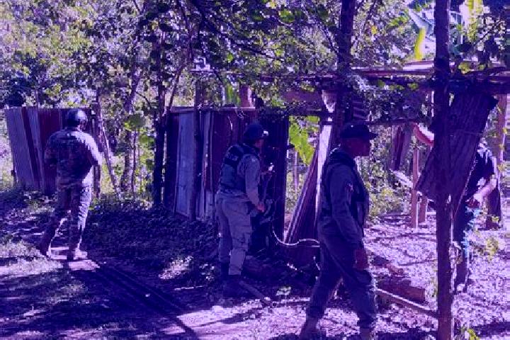 Escorts Rio Medio [Granja], Mexico — Local Companions