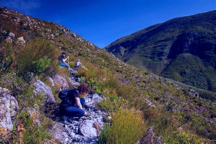 Escorts Riversdale, South Africa — Local Companions