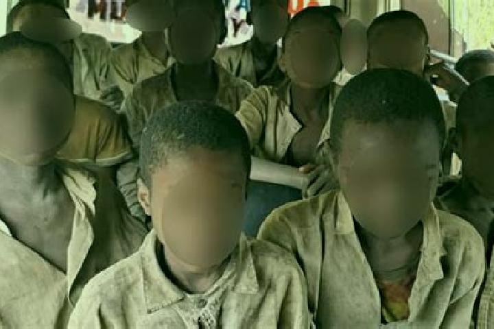 Escorts Riyom, Nigeria — Local Companions