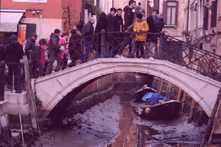 Escorts Rognano, Italy — Local Companions