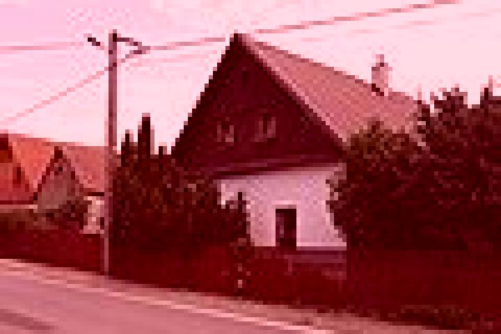 Escorts Rokytno, Czech Republic — Local Companions