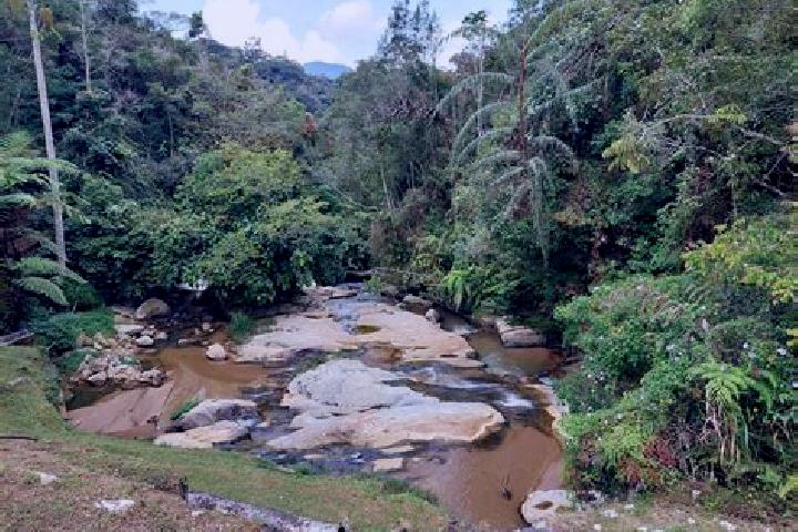 Escorts Rompin, Malaysia — Local Companions