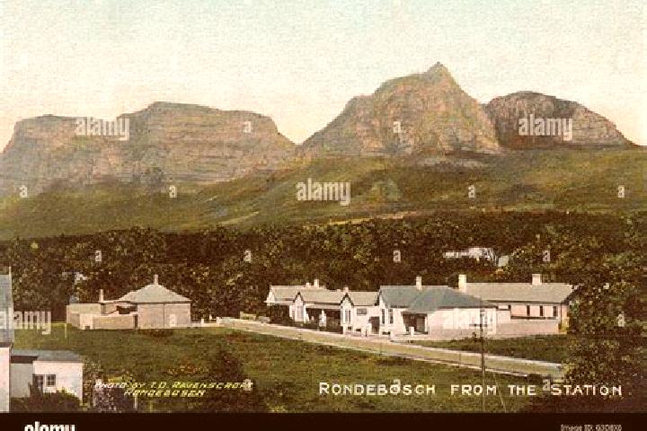 Escorts Rondebosch, South Africa — Local Companions