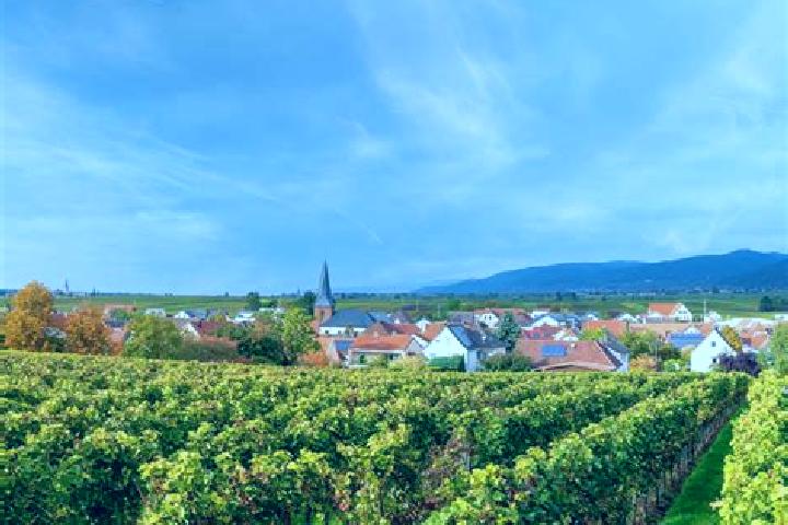 Escorts Roschbach, Germany — Local Companions