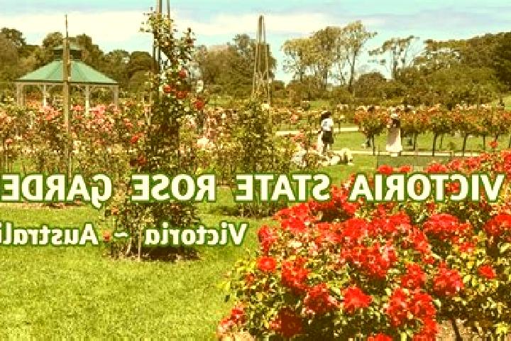 Escorts Rose Park, Australia — Local Companions