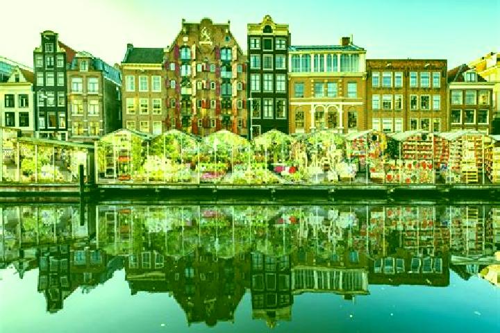 Escorts Rottum, Netherlands — Local Companions