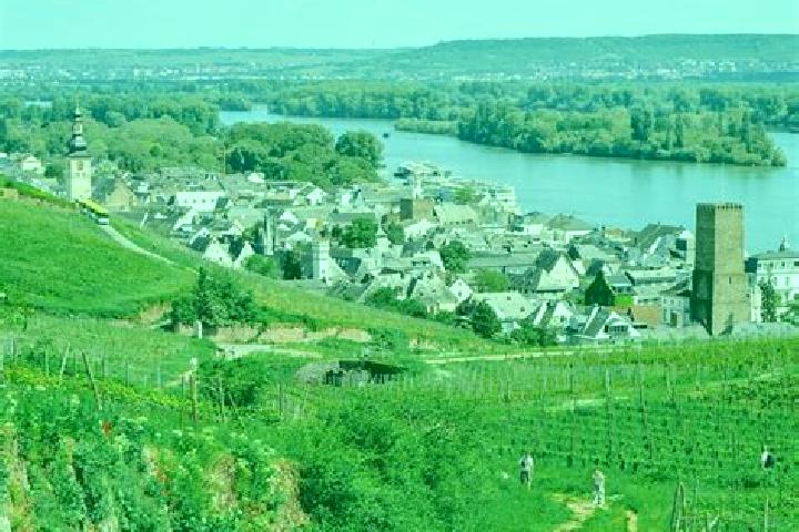 Escorts Ruedesheim am Rhein, Germany — Local Companions