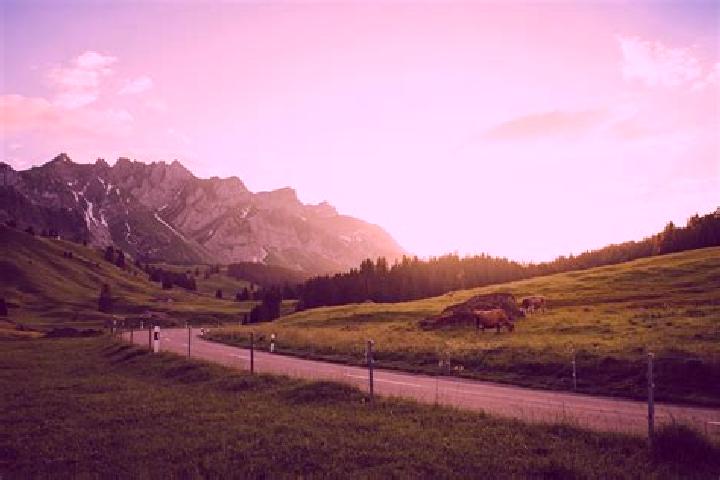 Escorts Ruemlang / Saentisstrasse-Aegler, Switzerland — Local Companions