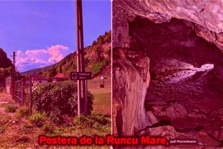 Escorts Runcu Mare, Romania — Local Companions