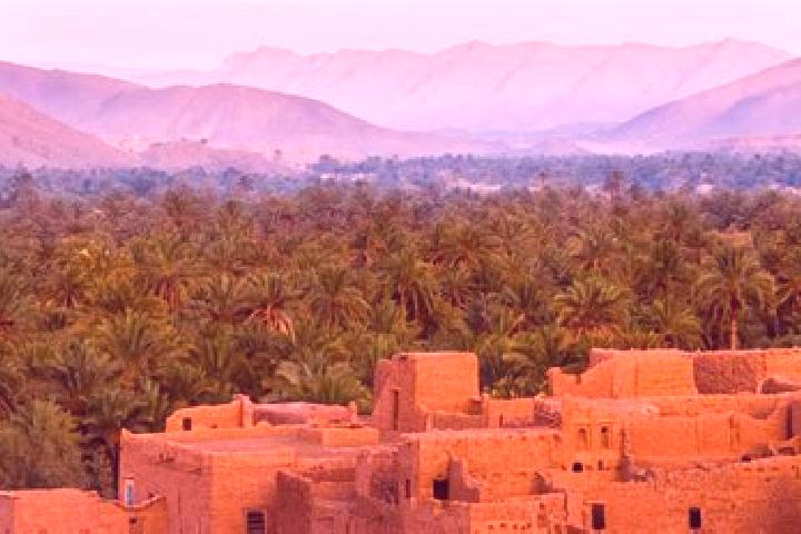 Escorts Sabaa Aiyoun, Morocco — Local Companions