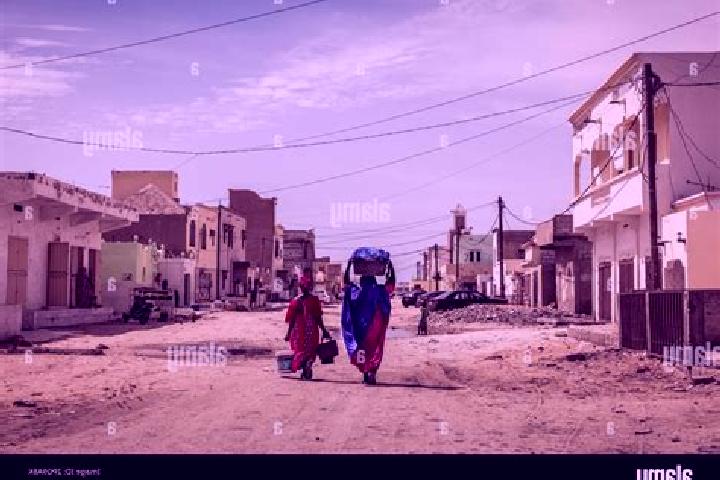 Escorts Sagne, Mauritania — Local Companions