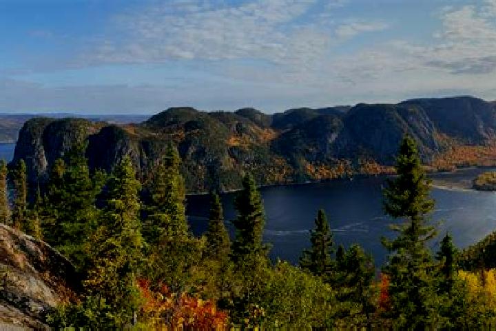 Escorts Saguenay, Canada — Local Companions
