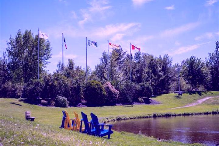 Escorts Saint-Anselme, Canada — Local Companions