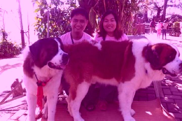 Escorts Saint Bernard, Philippines — Local Companions