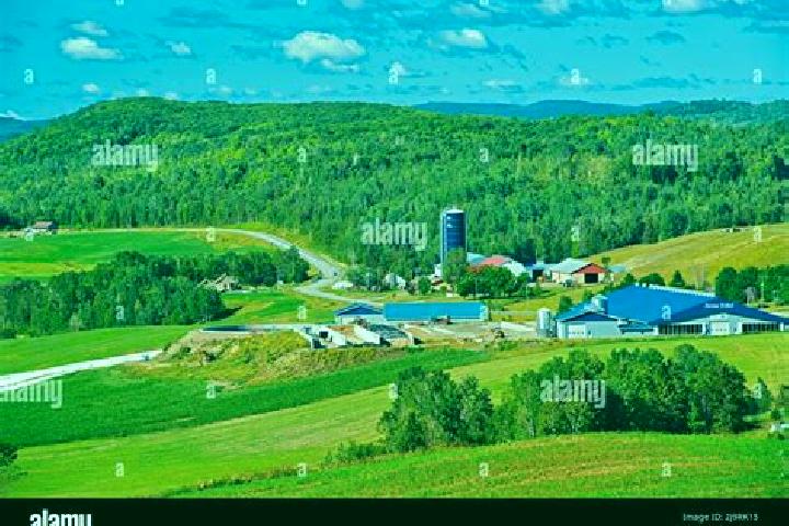 Escorts Saint-Narcisse, Canada — Local Companions