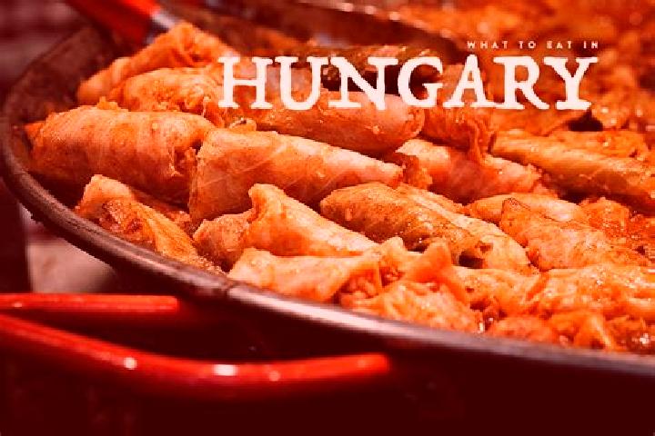 Escorts Sajobabony, Hungary — Local Companions