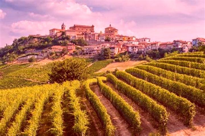 Escorts Sale delle Langhe, Italy — Local Companions