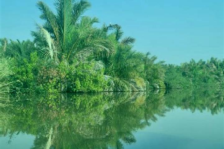 Escorts Sambang, Gambia — Local Companions