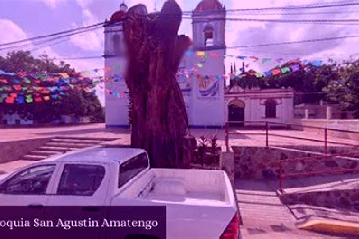 Escorts San Agustin Amatengo, Mexico — Local Companions