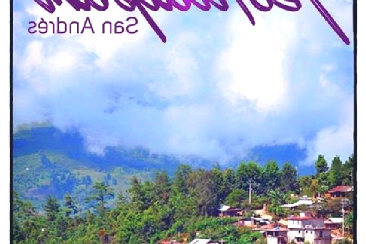 Escorts San Andres Teotilalpam, Mexico — Local Companions
