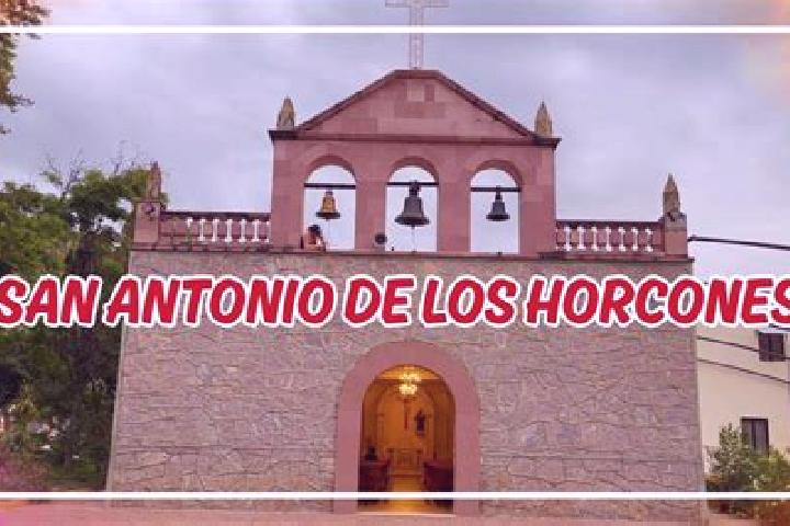 Escorts San Antonio de los Horcones, Mexico — Local Companions