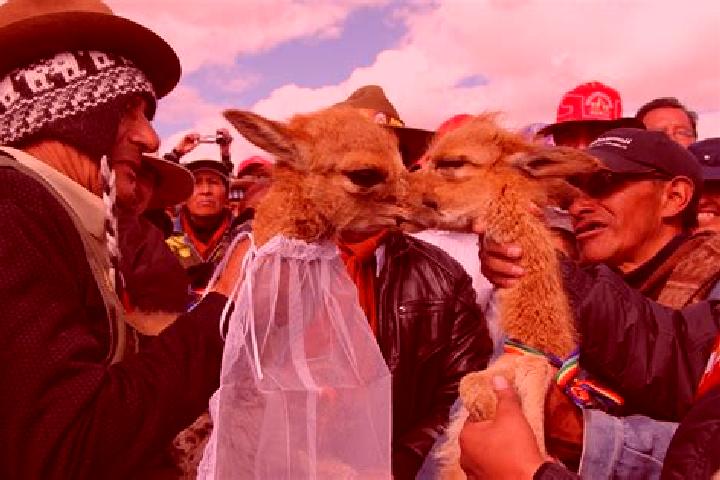 Escorts San Antonio de Rancas, Peru — Local Companions