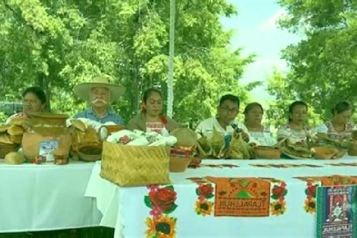 Escorts San Antonio Tepetlapa, Mexico — Local Companions