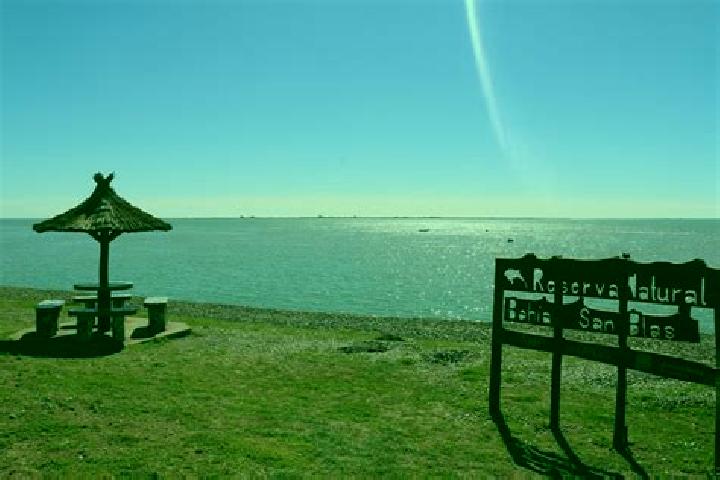Escorts San Blas, Argentina — Local Companions