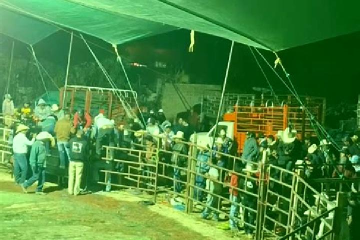 Escorts San Felipe Cuapexco, Mexico — Local Companions