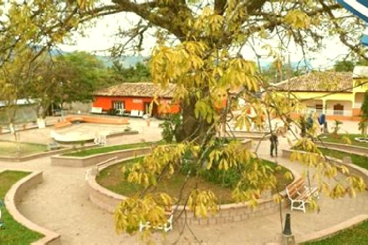 Escorts San Francisco, Honduras — Local Companions