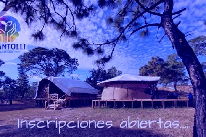 Escorts San Isidro Canoas Altas, Mexico — Local Companions