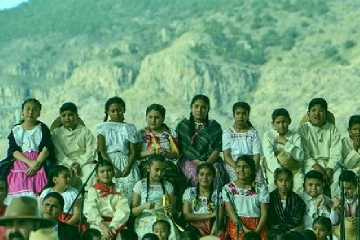 Escorts San Jeronimo de Araceo, Mexico — Local Companions
