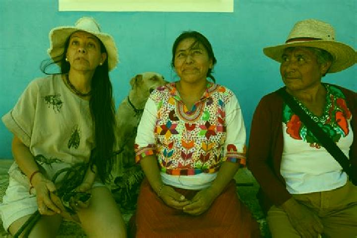 Escorts San Jeronimo Silacayoapilla, Mexico — Local Companions