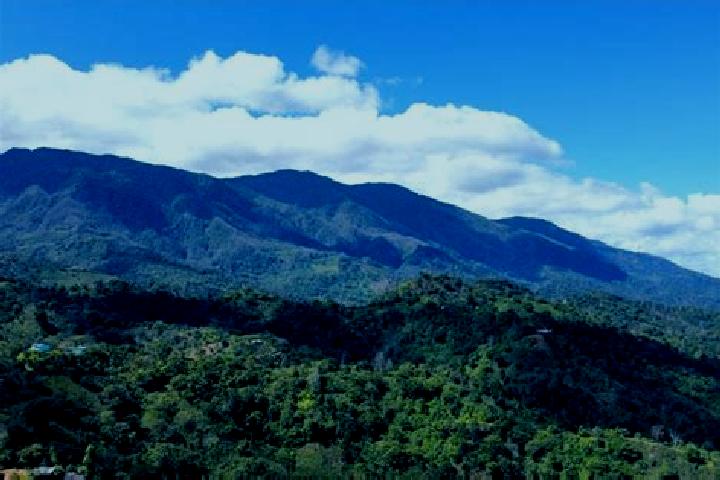 Escorts San Jose del Potrero, Honduras — Local Companions