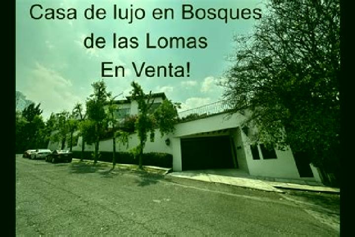 Escorts San Jose las Lomas, Mexico — Local Companions